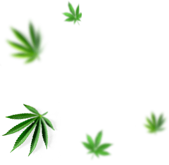 Vitalum Magnezyum + B6